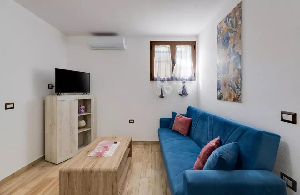 Communal lounge/ TV room, TV and multimedia, Living room, air conditioner