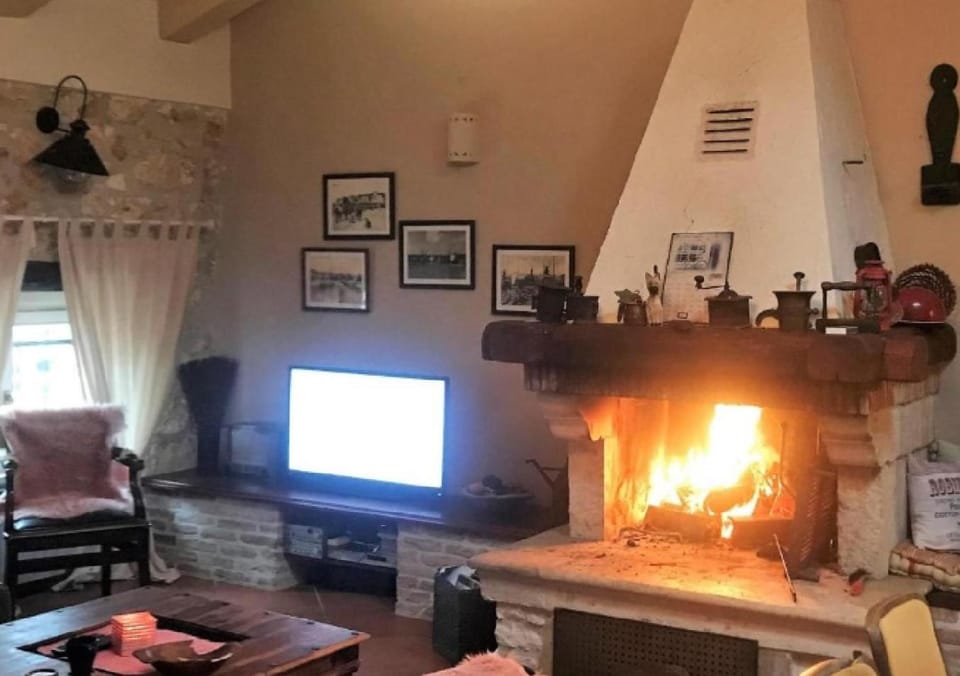 BEST PRICES VILLA NINI with refreshing private pool, barbecue,bikes and much more Villa in Istria County