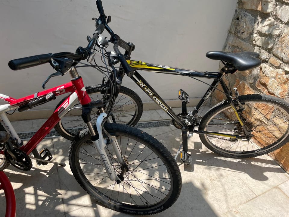BEST PRICES VILLA NINI with refreshing private pool, barbecue,bikes and much more Villa in Istria County
