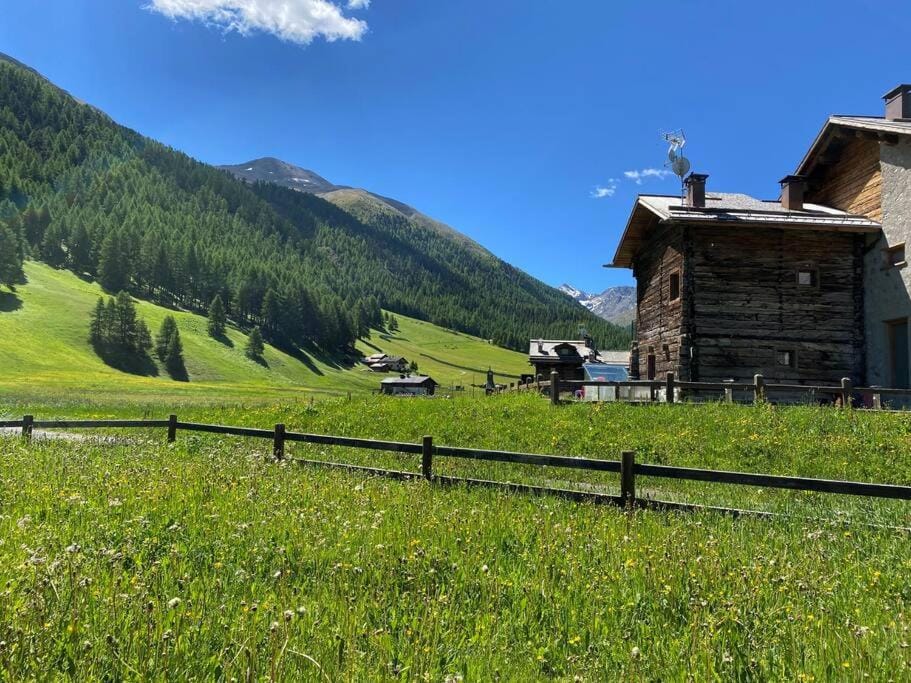 Natural landscape