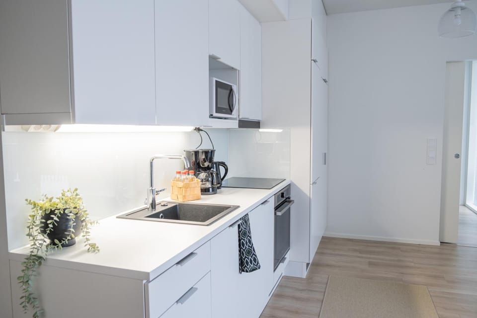 Kitchen or kitchenette, dishwasher, toaster