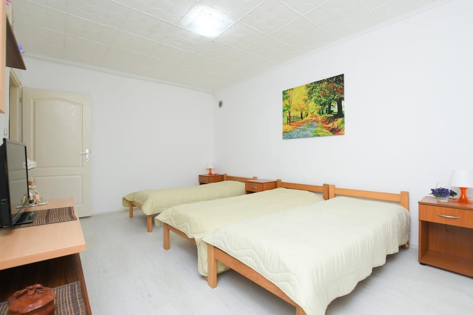 Apartman Aleksandar Apartment in Serbia