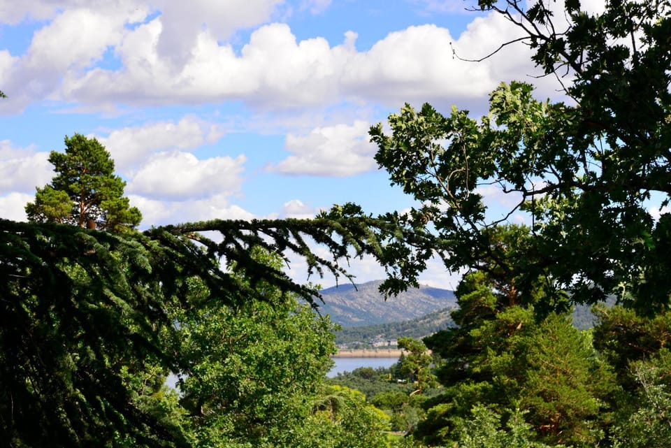 Lake view