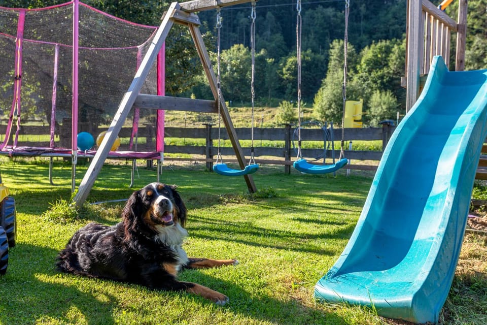 Children play ground, Garden