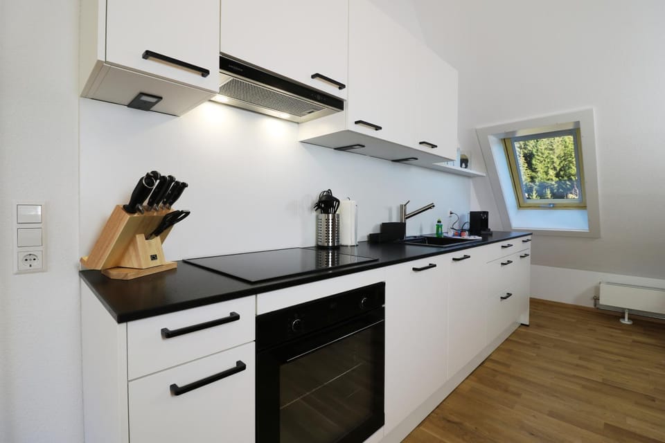 Tannenhof Fischbach - Fewo 5 "Zander" - Schluchsee, 2 Schlafzimmer Schlafgalerie, E-Auto Ladestation Apartment in Schluchsee