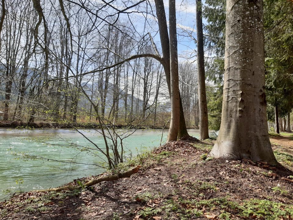 River view