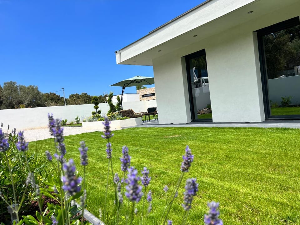Spring, Natural landscape, Garden, Garden