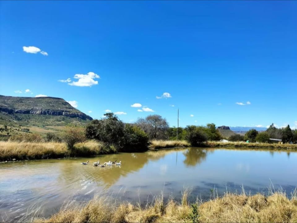 Natural landscape