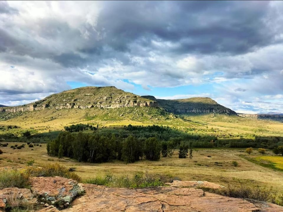 Natural landscape