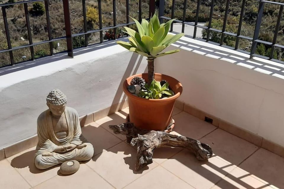 Patio, View (from property/room), Balcony/Terrace, Garden view