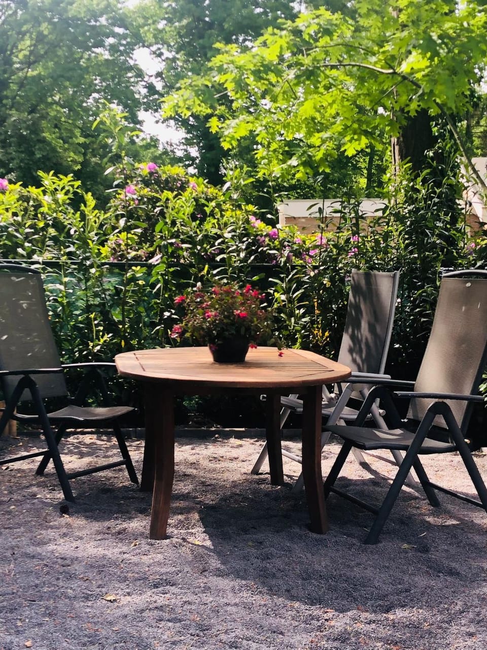 Garden, Balcony/Terrace, Garden view