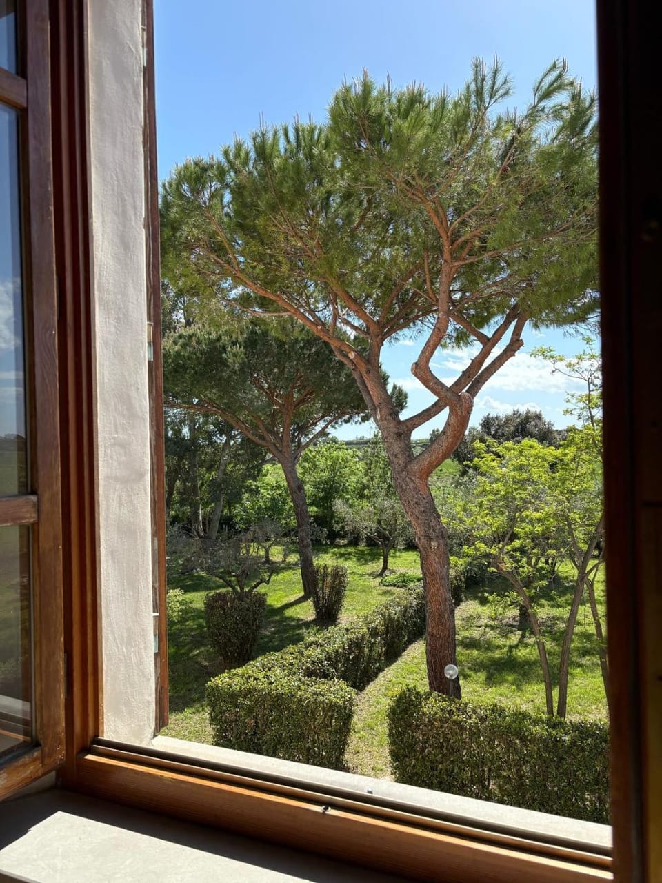 Garden view