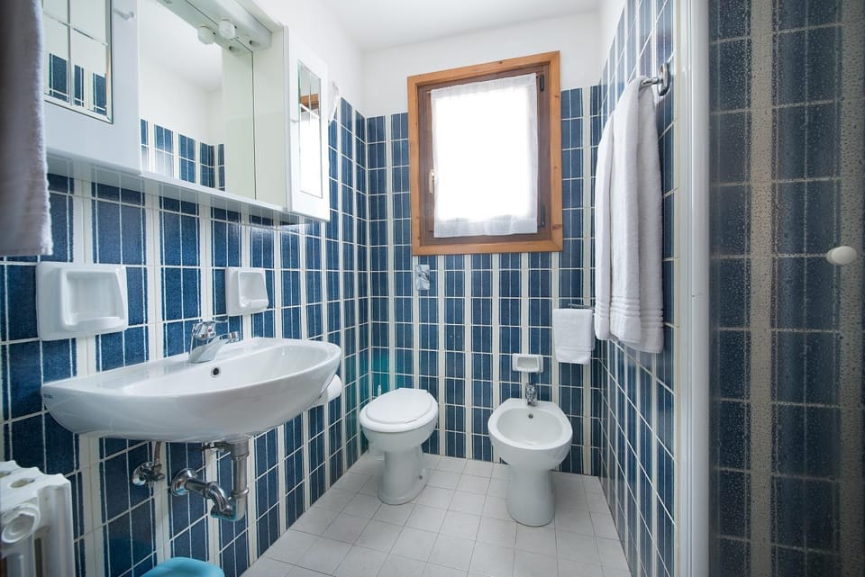 Shower, Toilet, Bathroom, bidet