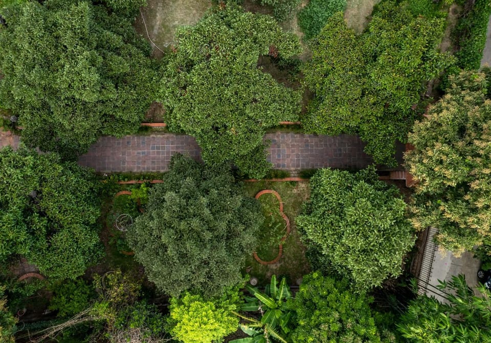 Day, Natural landscape, Bird's eye view, Garden