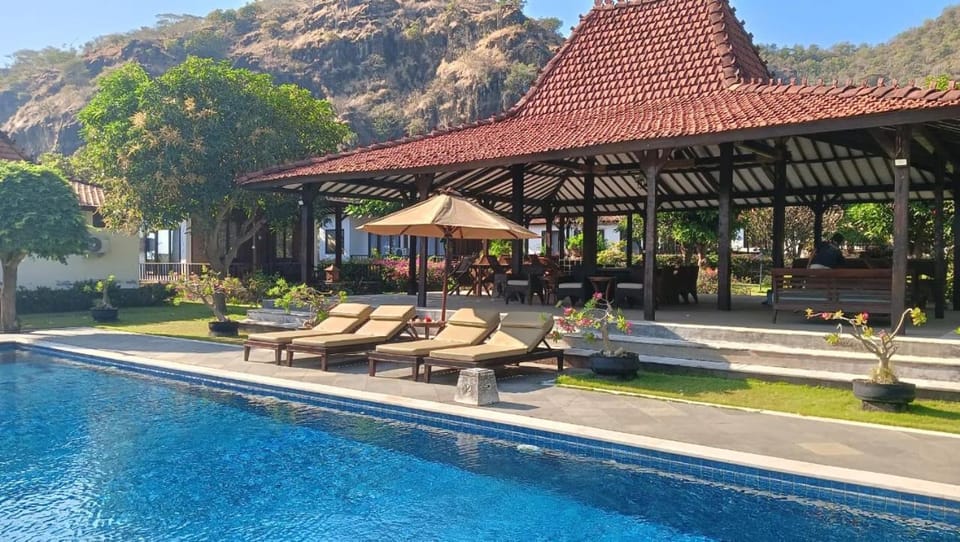 Natural landscape, Garden, Garden view, Pool view, Swimming pool