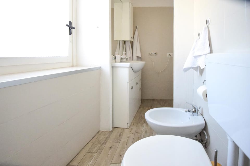 Bathroom, bidet, hair dresser