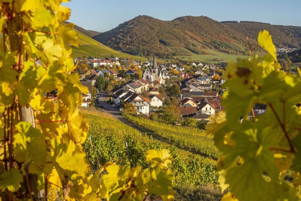 Ferienwohnungen Weitmann Apartment in Trier-Saarburg