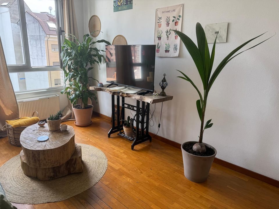 Dulce y sereno piso en Oviedo Apartment in Oviedo