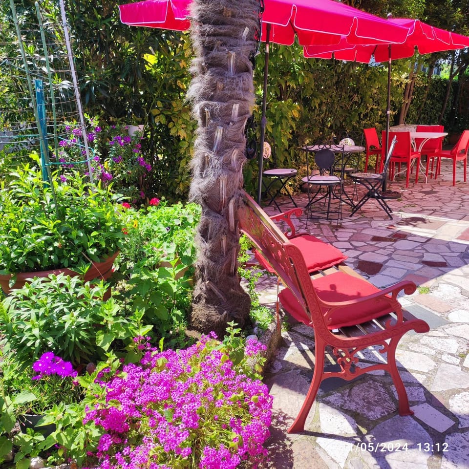 Patio, Garden, Garden view