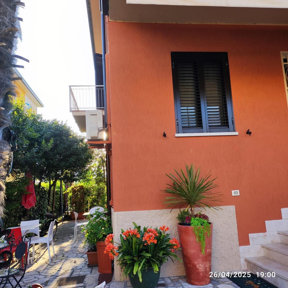 Property building, Patio, Garden view