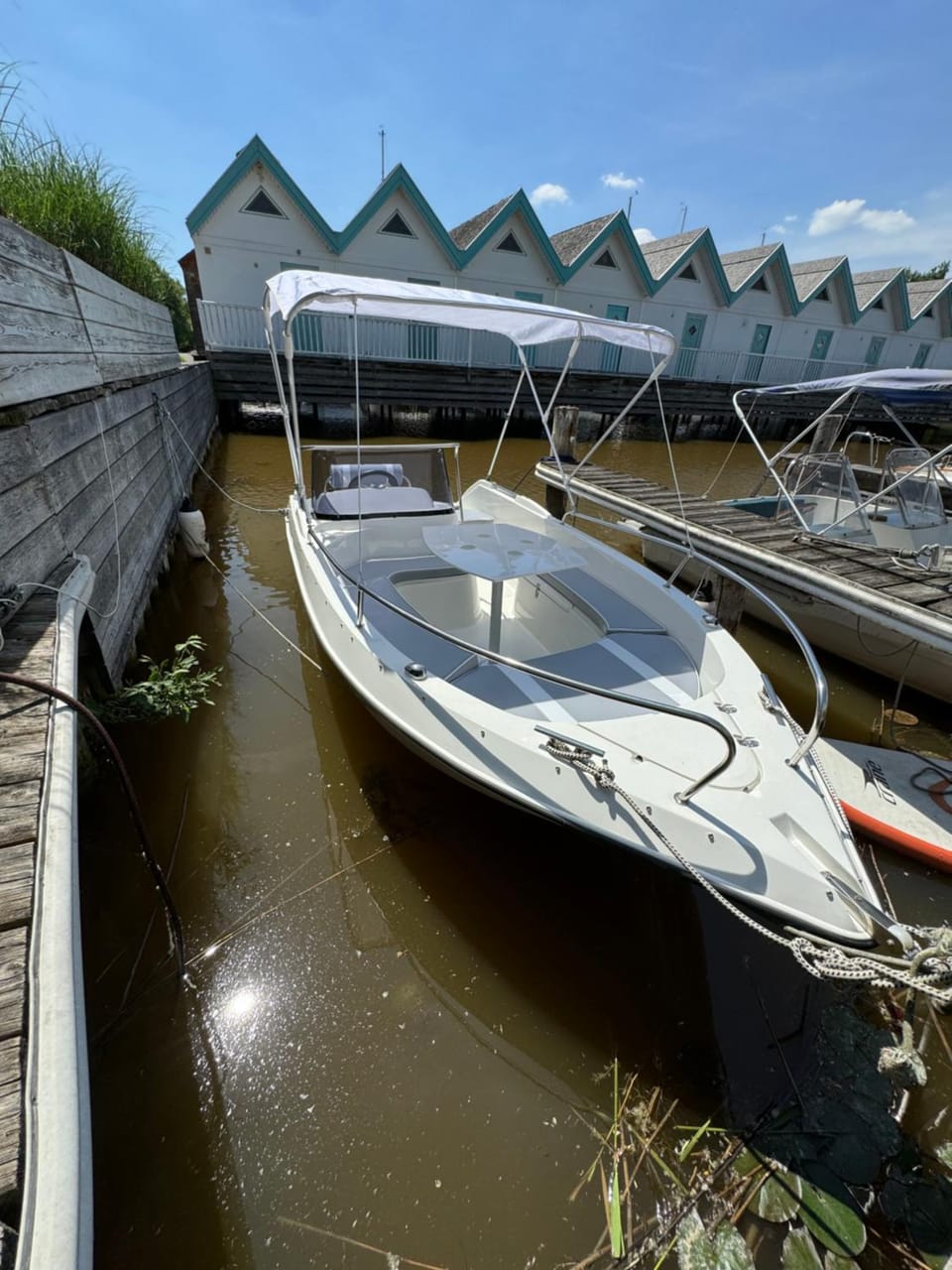 Activities, Lake view