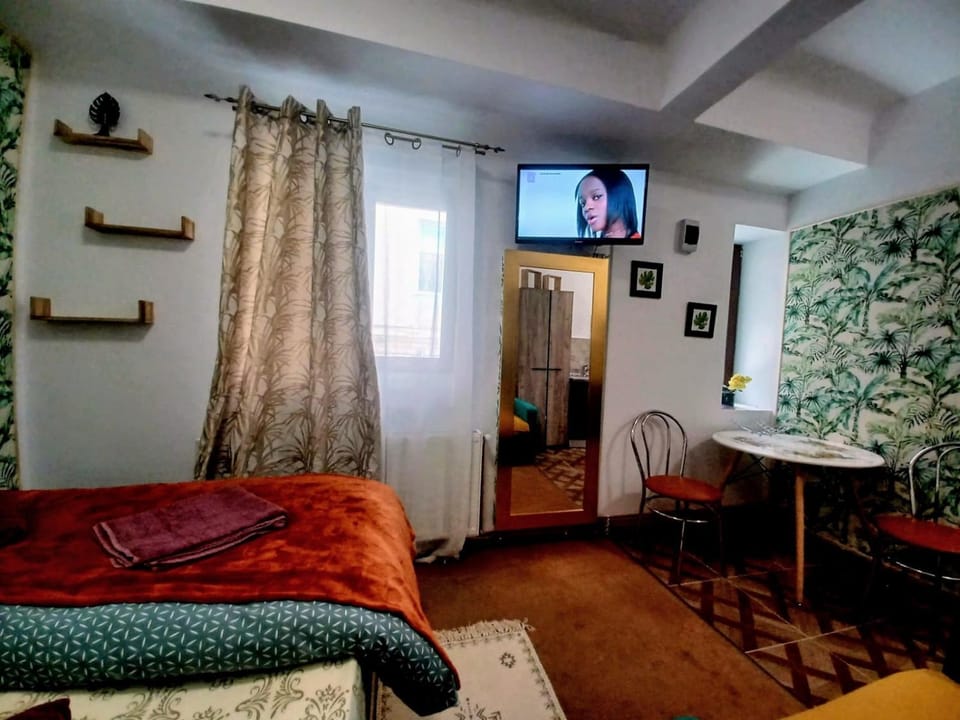 Studios Republicii Brasov Apartment in Brasov