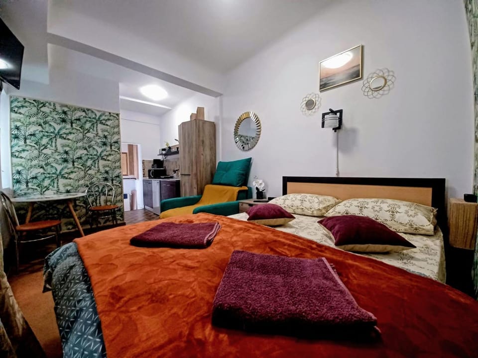 Studios Republicii Brasov Apartment in Brasov