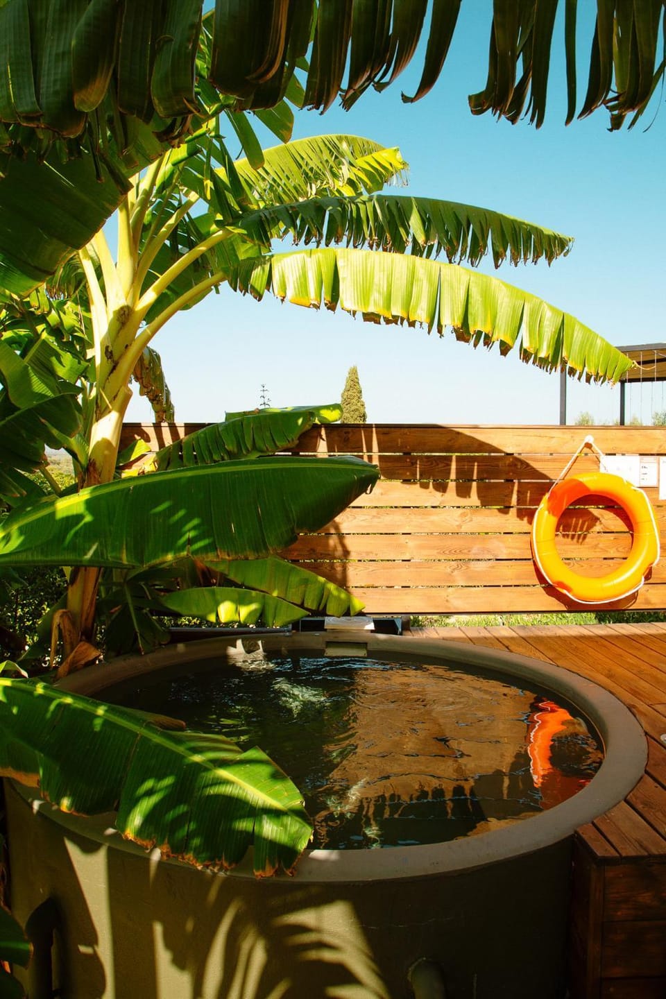 Garden, Garden view, Pool view, Swimming pool, Swimming pool