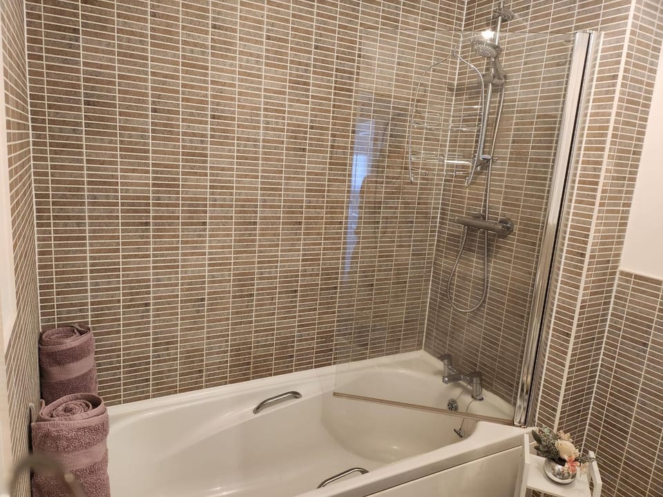 Rothwell Apartment in Swansea