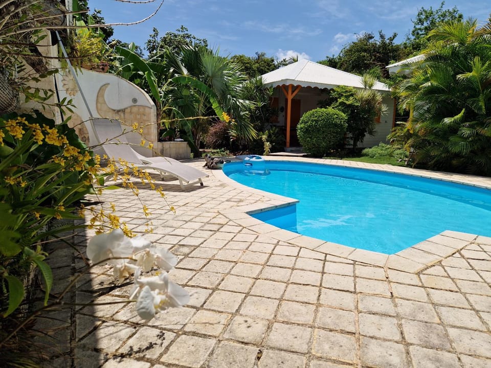 Garden, Pool view, Swimming pool, sunbed