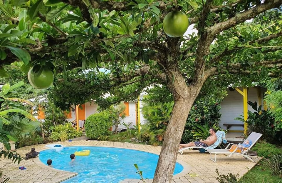 Garden, Garden view, Pool view, Swimming pool, Swimming pool, sunbed