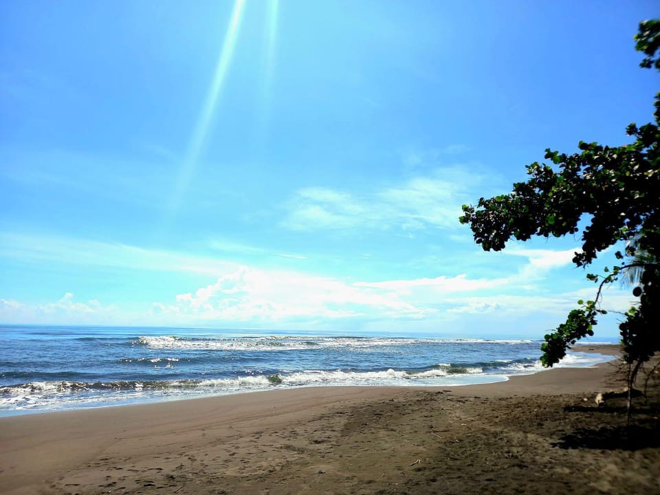 Tortuguero Adventures Beach House Nature lodge in Costa Rica