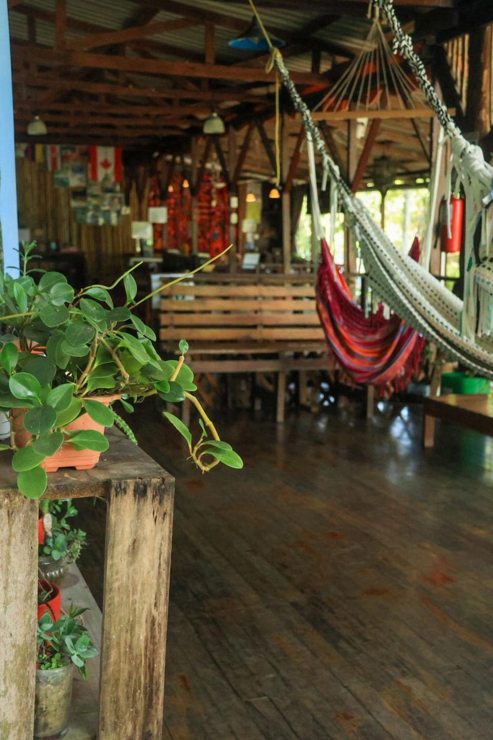 Hostel Plinio Hostel in Quepos