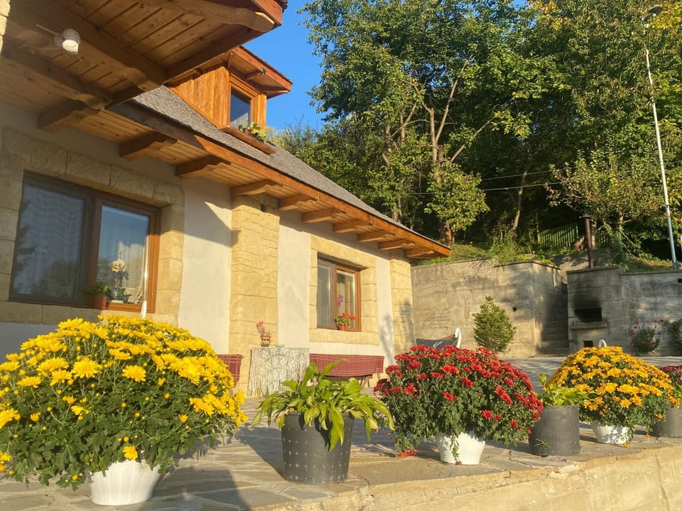 Casa cu șindrilă House in Prahova, Romania