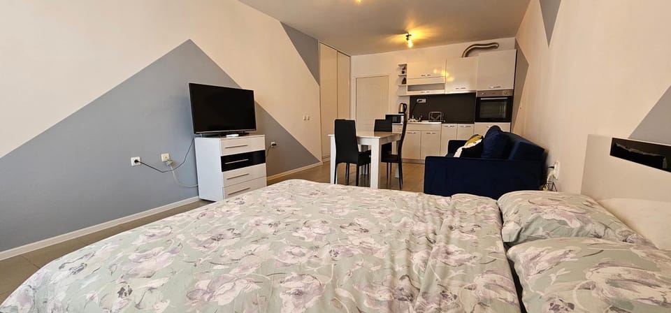 Bed, TV and multimedia, Kitchen or kitchenette, Photo of the whole room, Bedroom, minibar, pet friendly, air conditioner