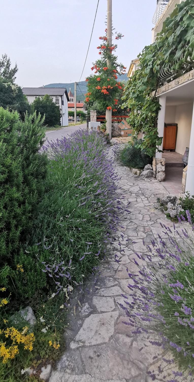 Spring, Day, Natural landscape, Garden, Garden view, Quiet street view