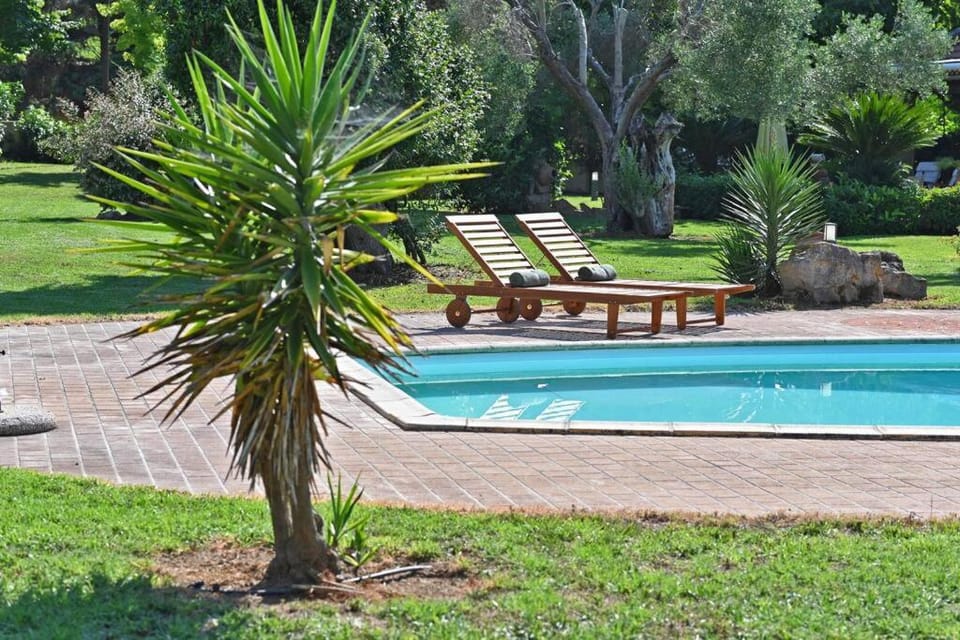 Garden, Swimming pool