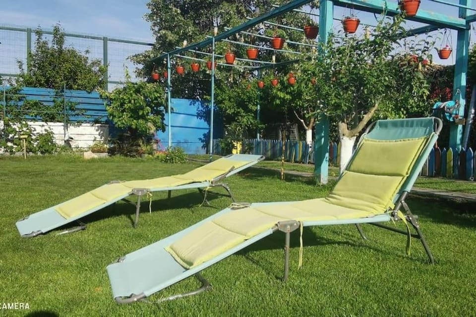 Day, Natural landscape, Children play ground, Garden, Garden view, sunbed