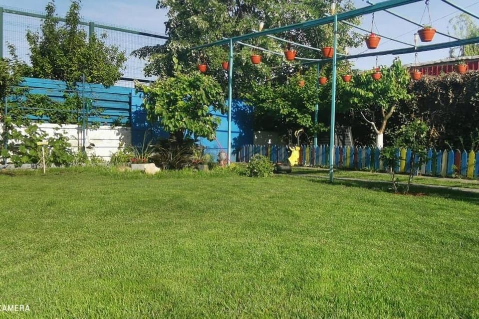 Day, Natural landscape, Garden