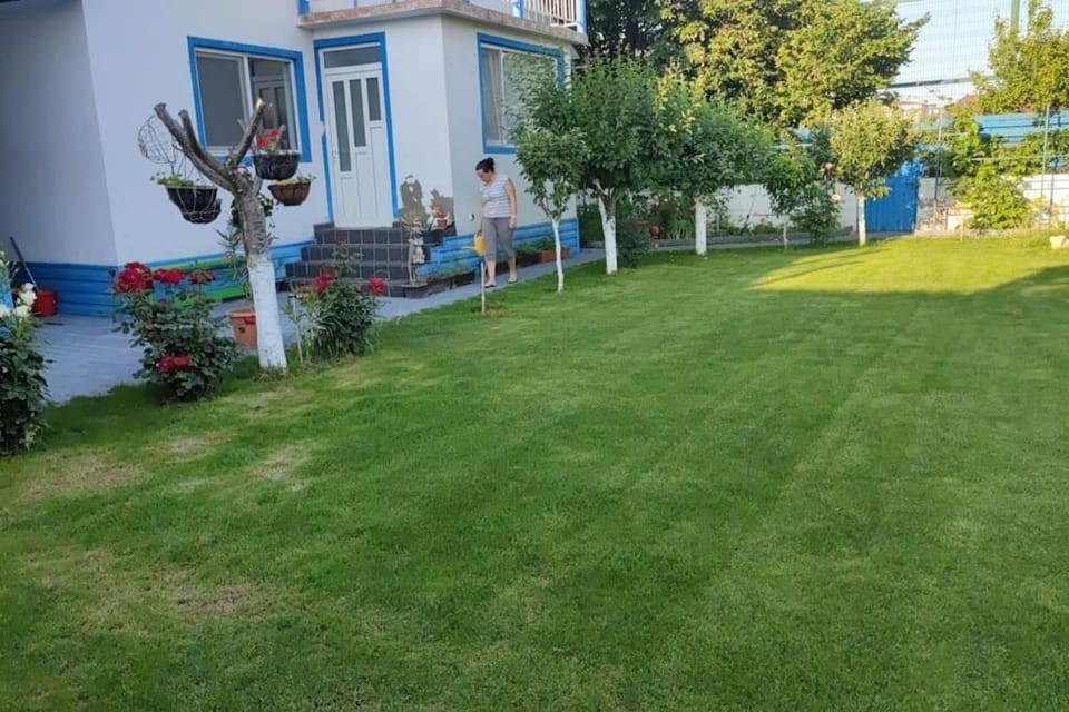 Property building, Day, Natural landscape, Garden, Garden, Garden view