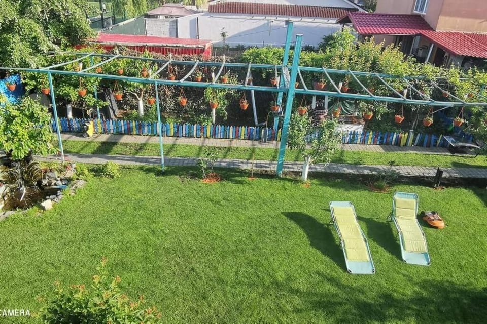 Day, Natural landscape, Garden view