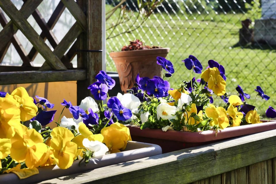 Garden, Garden view