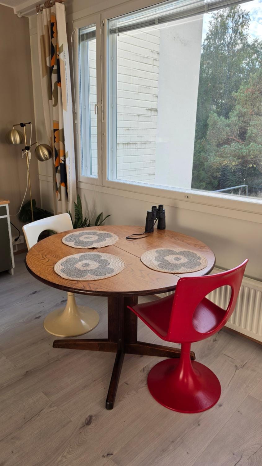 Frida's Place Apartment in Finland
