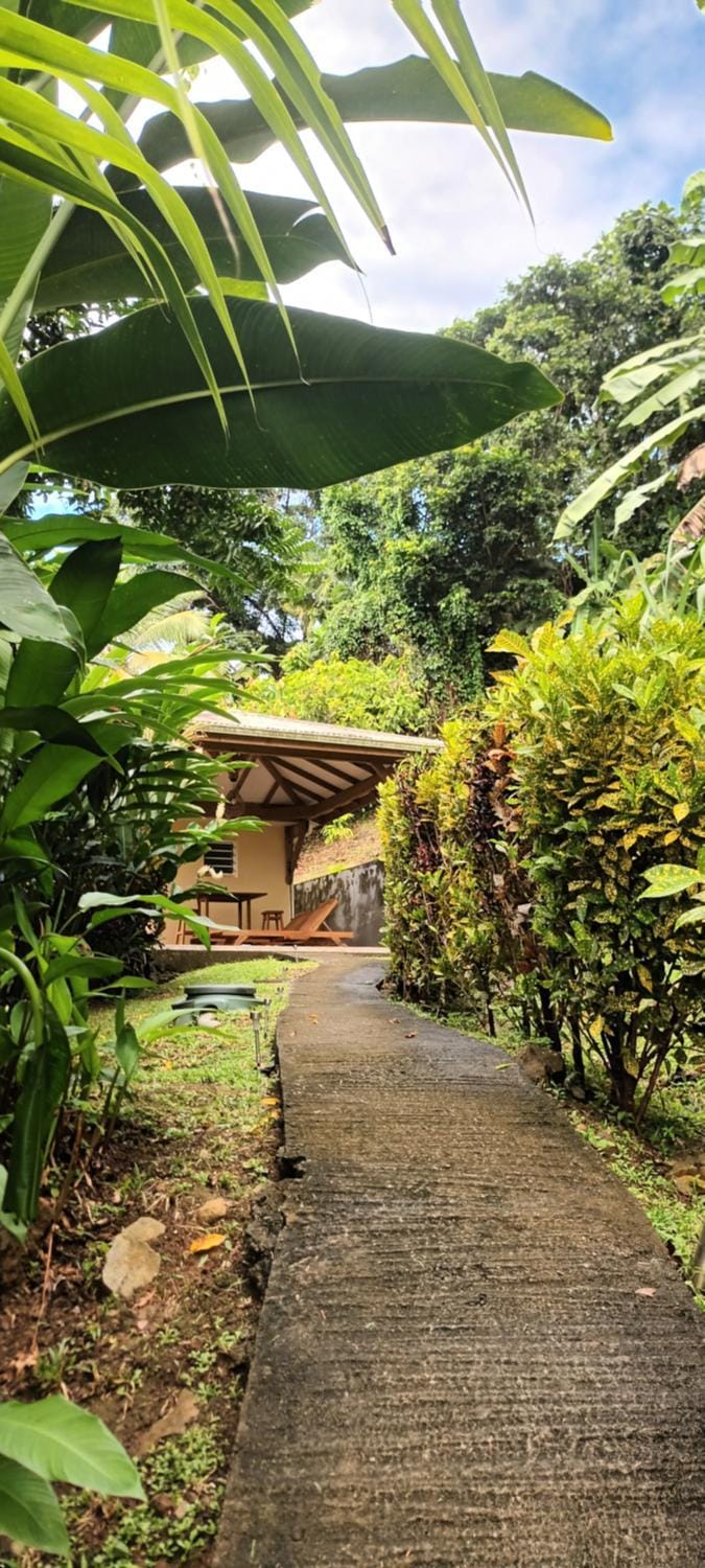 Martinique, la Ptite Maison dans la colline House in Martinique