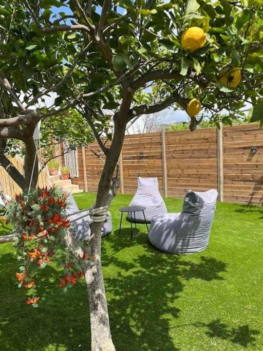 Patio, Spring, Day, Garden, Seating area, Garden view, sunbed