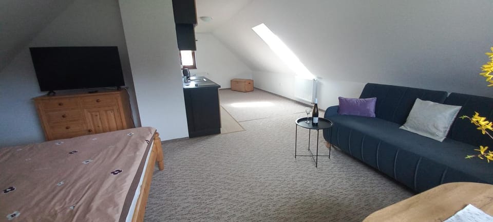 Apartmán v Jámě Apartment in South Bohemian Region