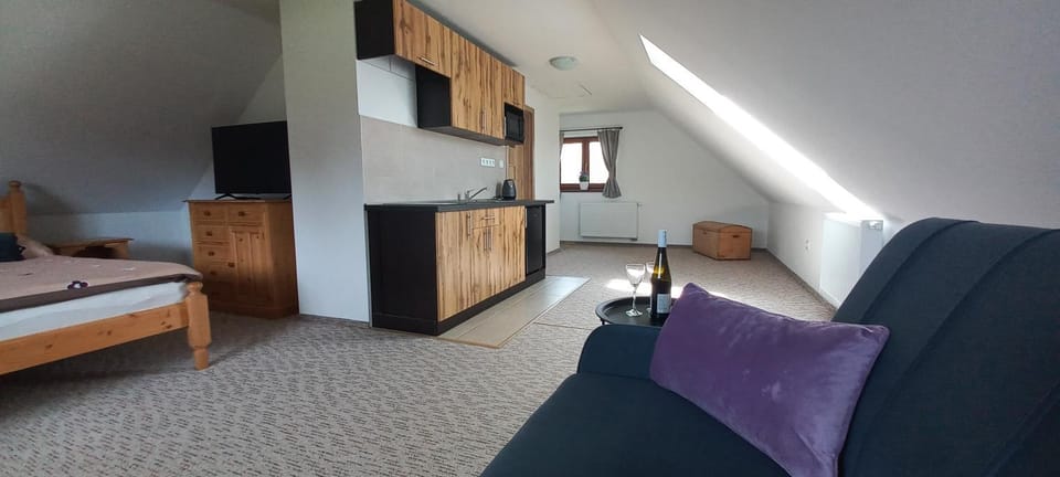 Apartmán v Jámě Apartment in South Bohemian Region