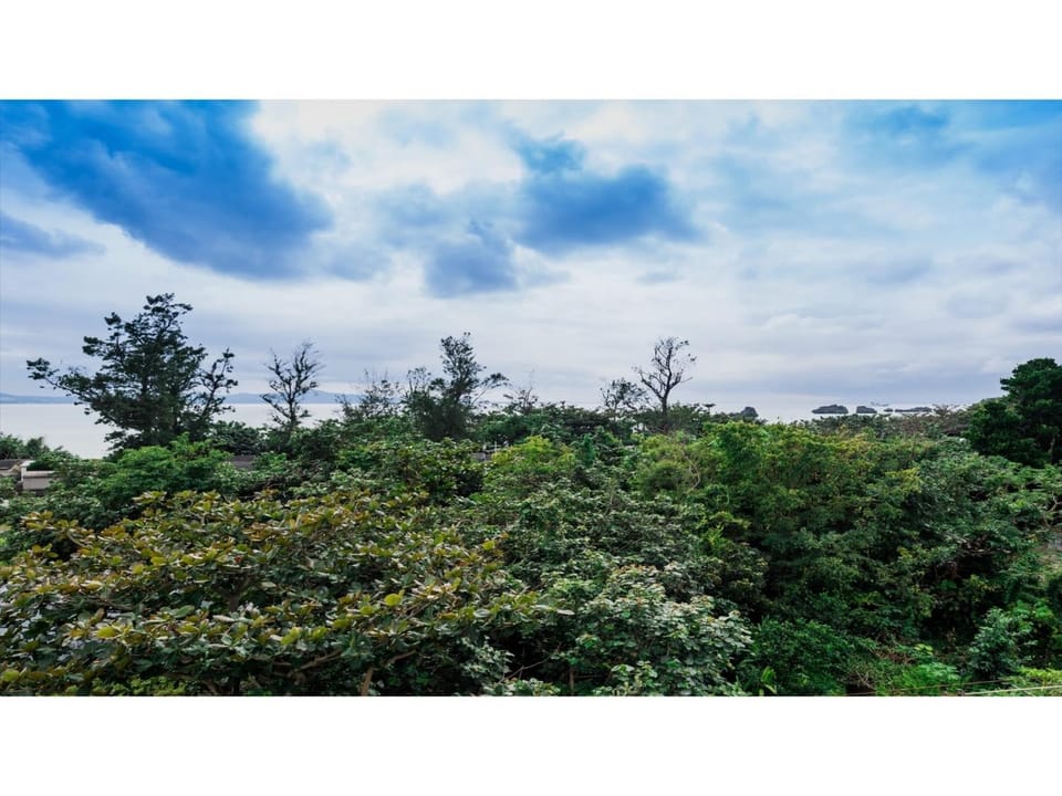 Hotel Thomas Nago - Vacation STAY 40479v Hotel in Okinawa Prefecture