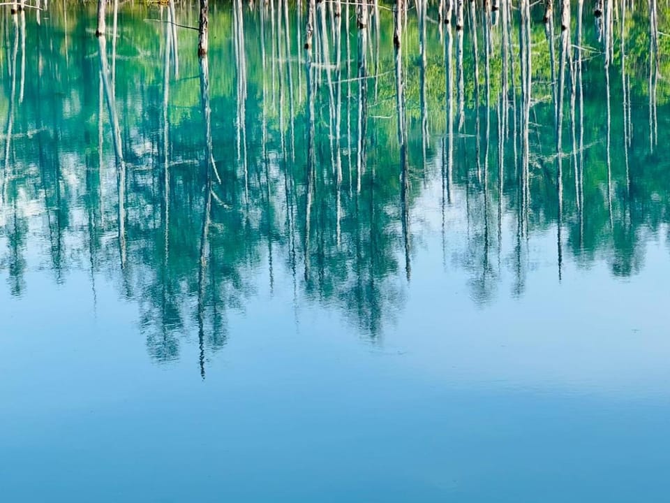Natural landscape