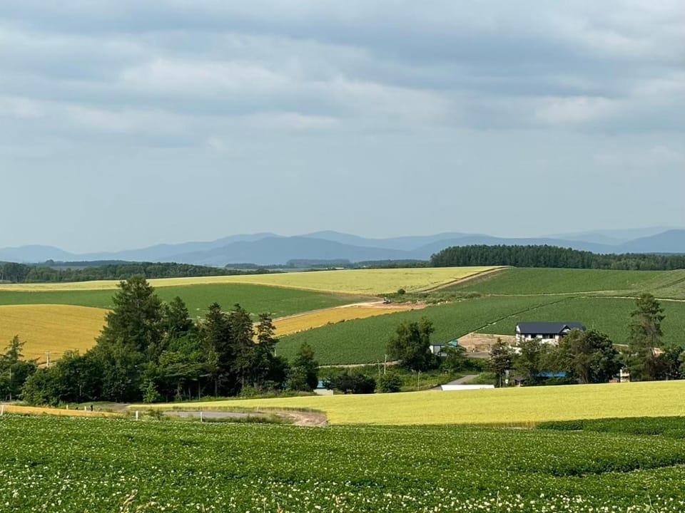 Natural landscape